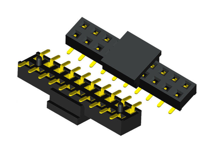 Schwarzes 20 Pin weibliche Neigung der Titel-Verbindungsstück-Doppelt-Reihen-2.0mm mit KAPPE